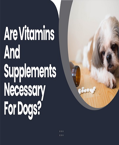 multivitamins for dogs