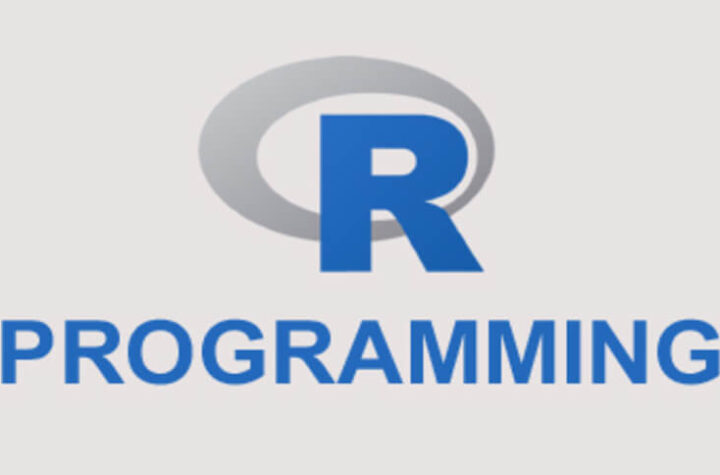 R Programming Assignment Help
