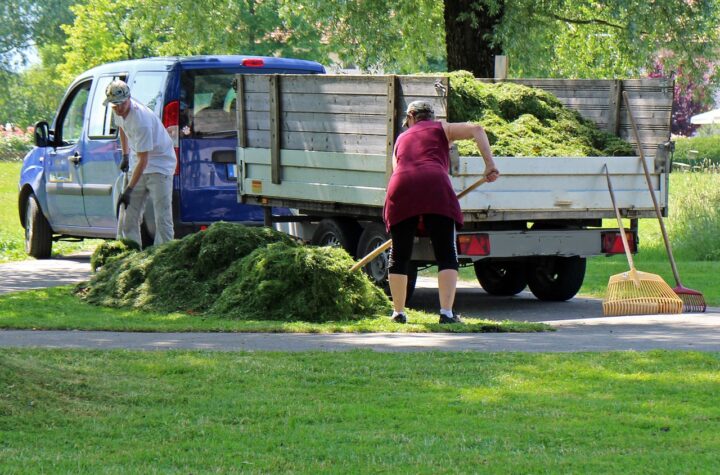 landscaper Carmel IN