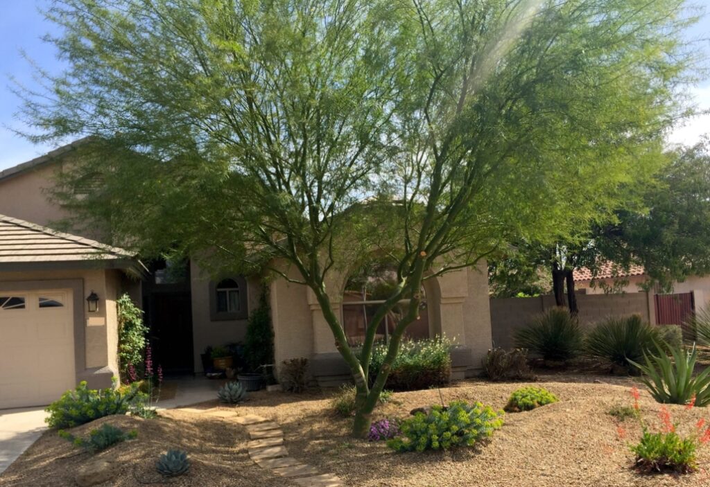 tree trimming Henderson NV