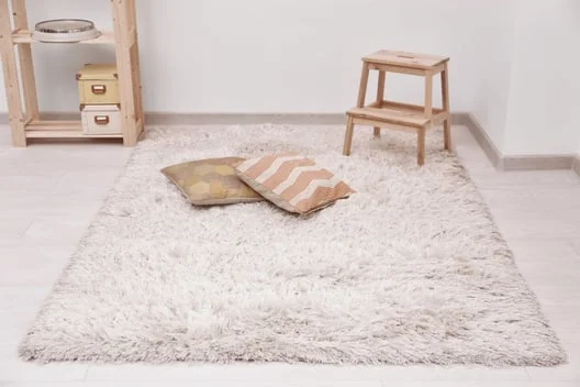 steam carpet cleaning Charlotte NC