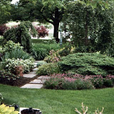 landscaping company Carmel IN