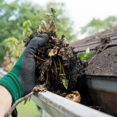 gutter cleaning Newberry FL