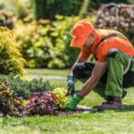 landscaper Carmel IN