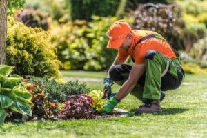 landscaper Carmel IN