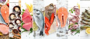 wholesale frozen Alaska Pollock