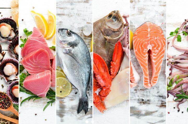 wholesale frozen Alaska Pollock