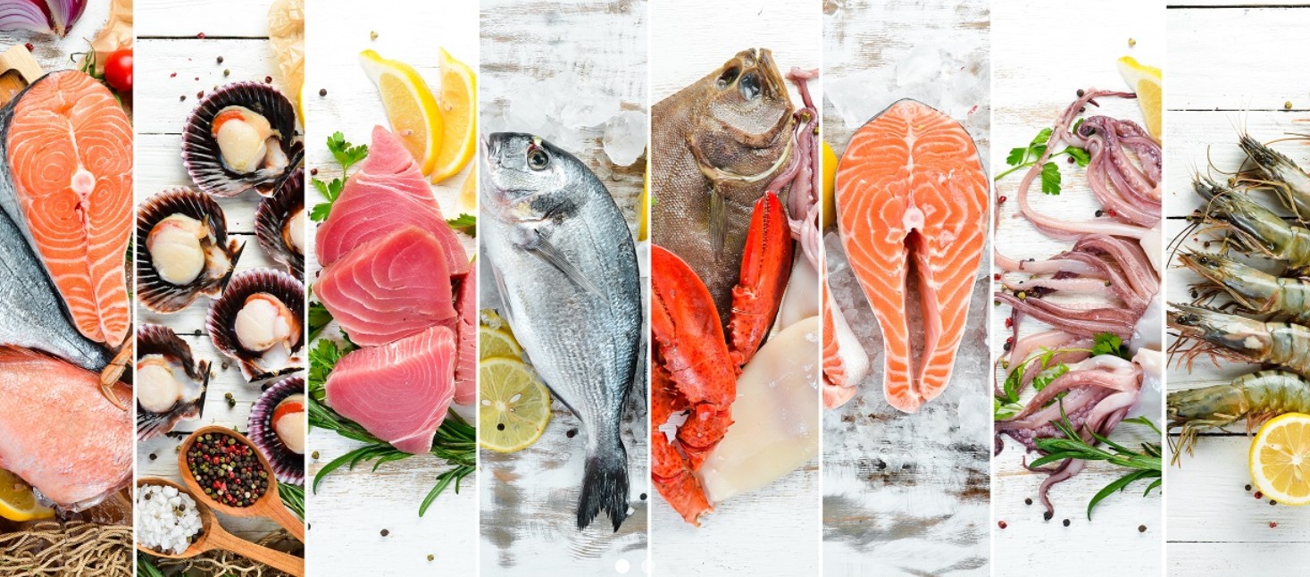 wholesale frozen Alaska Pollock