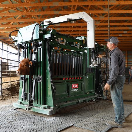 hydraulic cattle chutes
