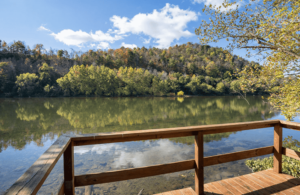 Juniata river cabin