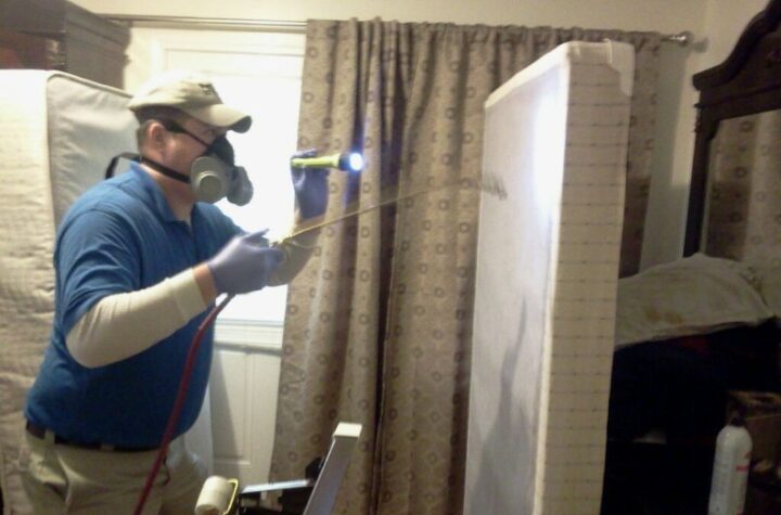 bed bug removal company Springfield MO