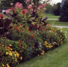 landscape design Carmel IN