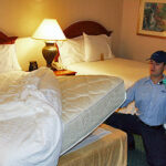 bed bug removal Springfield MO