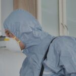 bed bugs removal service Springfield MO