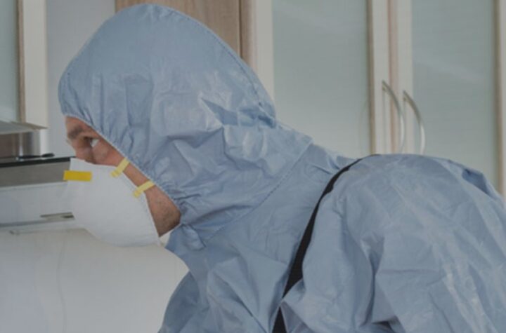 bed bugs removal service Springfield MO