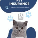 disability insurance somerset nj