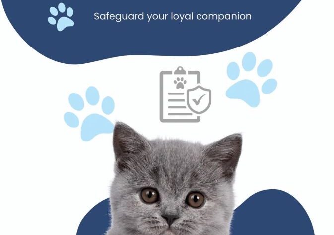 disability insurance somerset nj