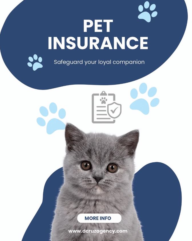 disability insurance somerset nj